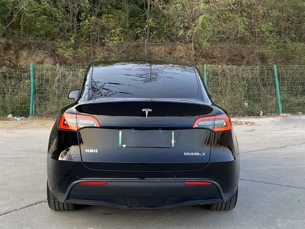 Tesla Model Y — миниатюра 21