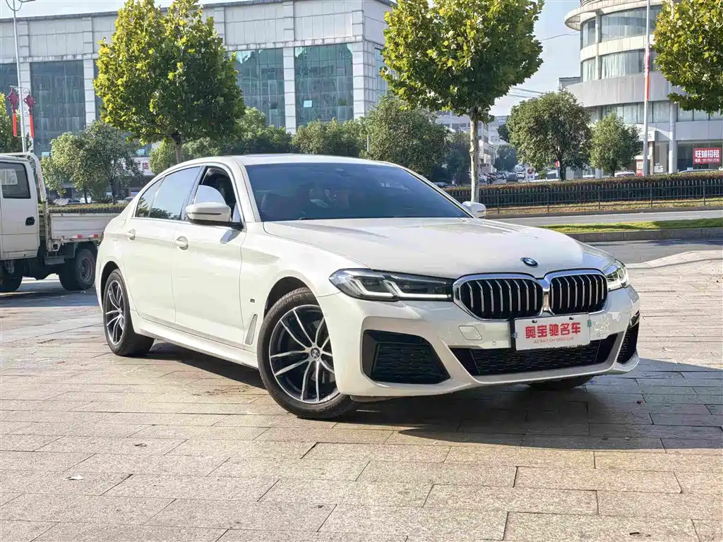 BMW 5 Series — миниатюра 3