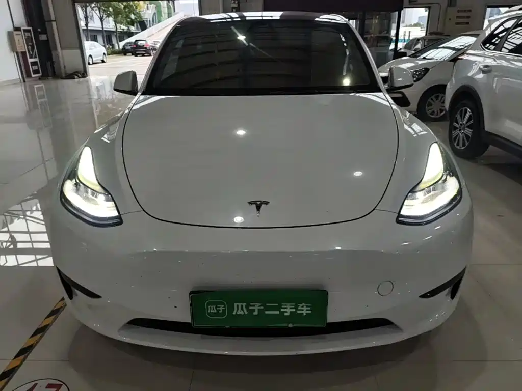 Tesla Model Y — миниатюра 3
