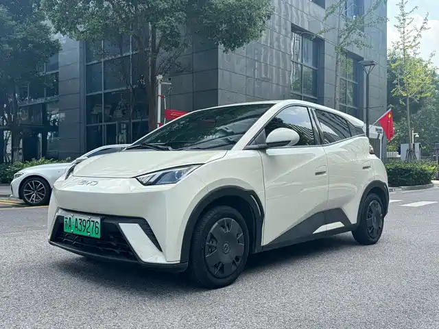 BYD Seagull