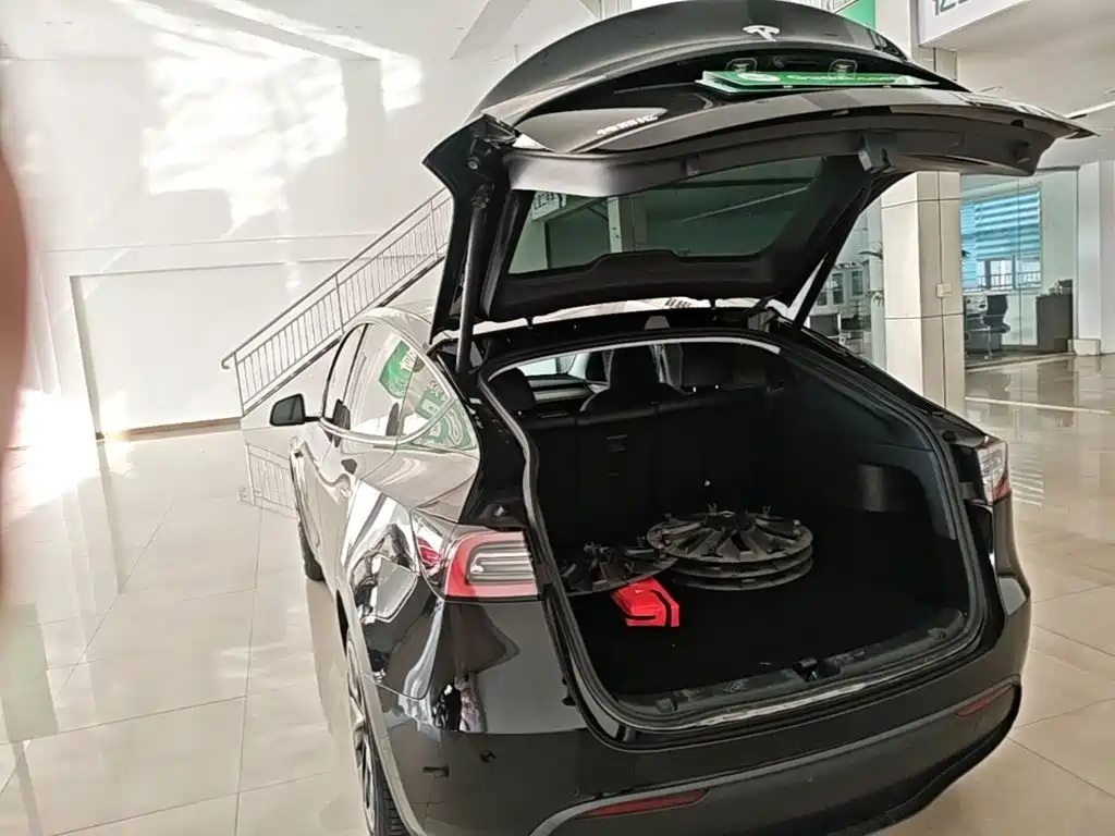 Tesla Model Y — миниатюра 19