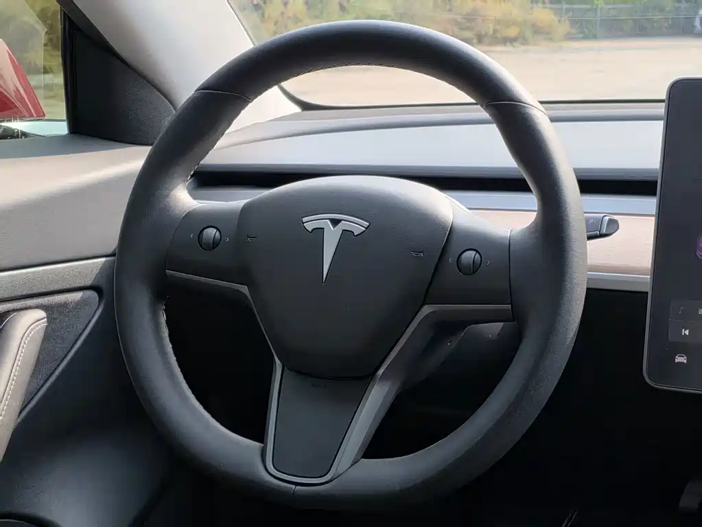 Tesla Model 3 — миниатюра 11