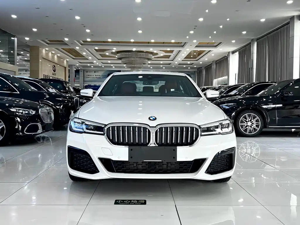 BMW 5 Series — миниатюра 2