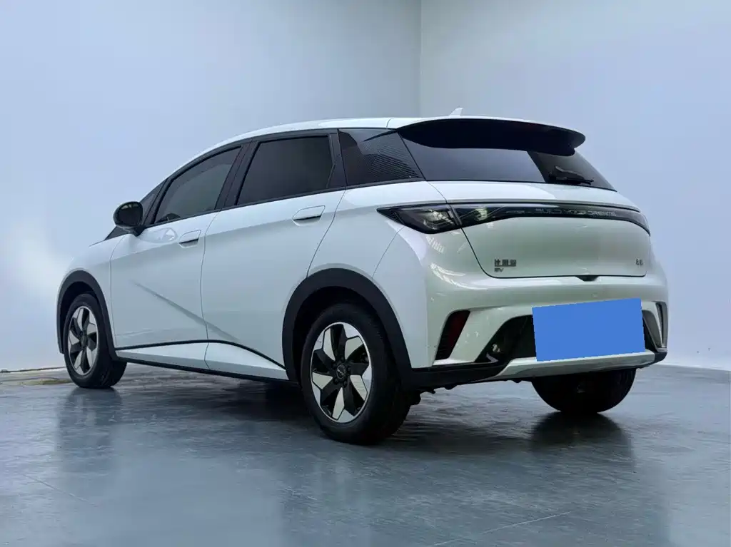 BYD Dolphin — миниатюра 7