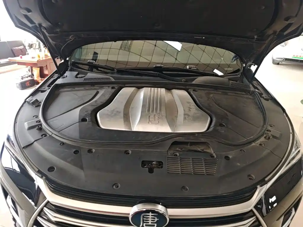 BYD Tang New Energy — миниатюра 20