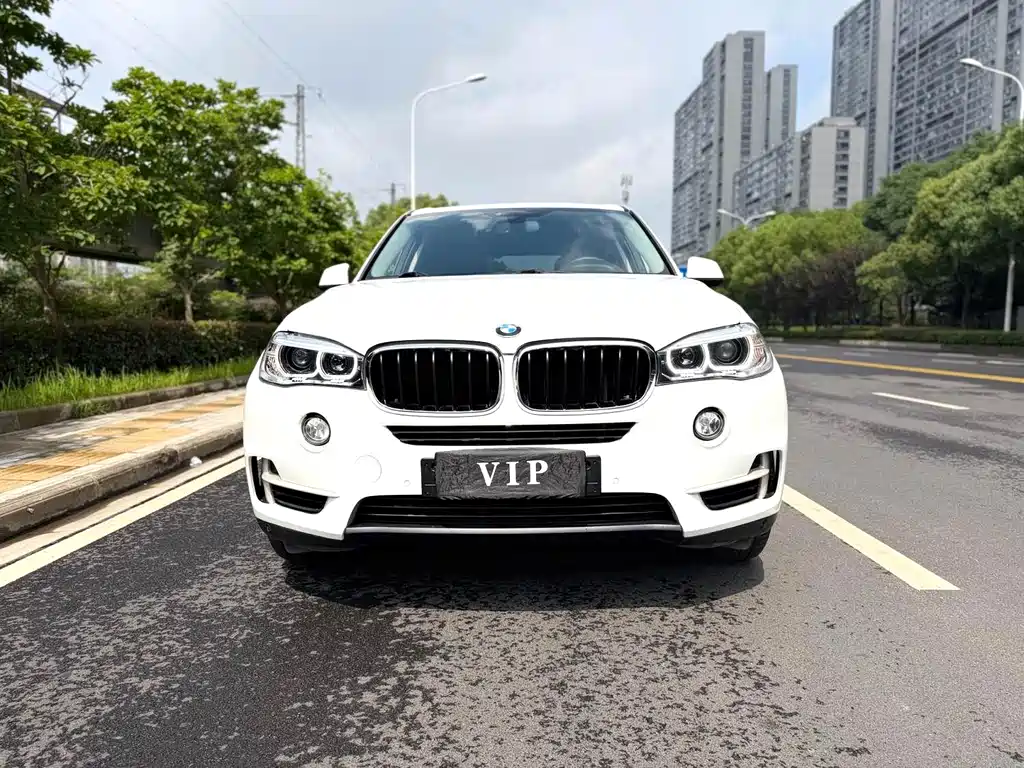 BMW X5 (Import) — миниатюра 2