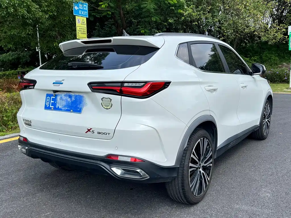 Oshan Oushang X5 — миниатюра 4