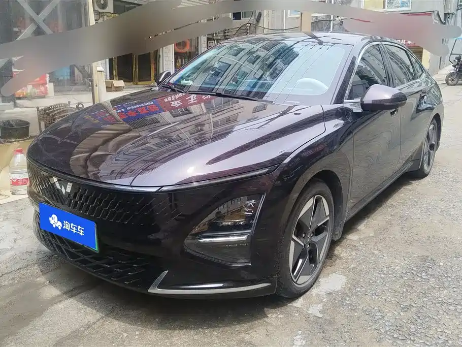Wuling Xingguang 2024