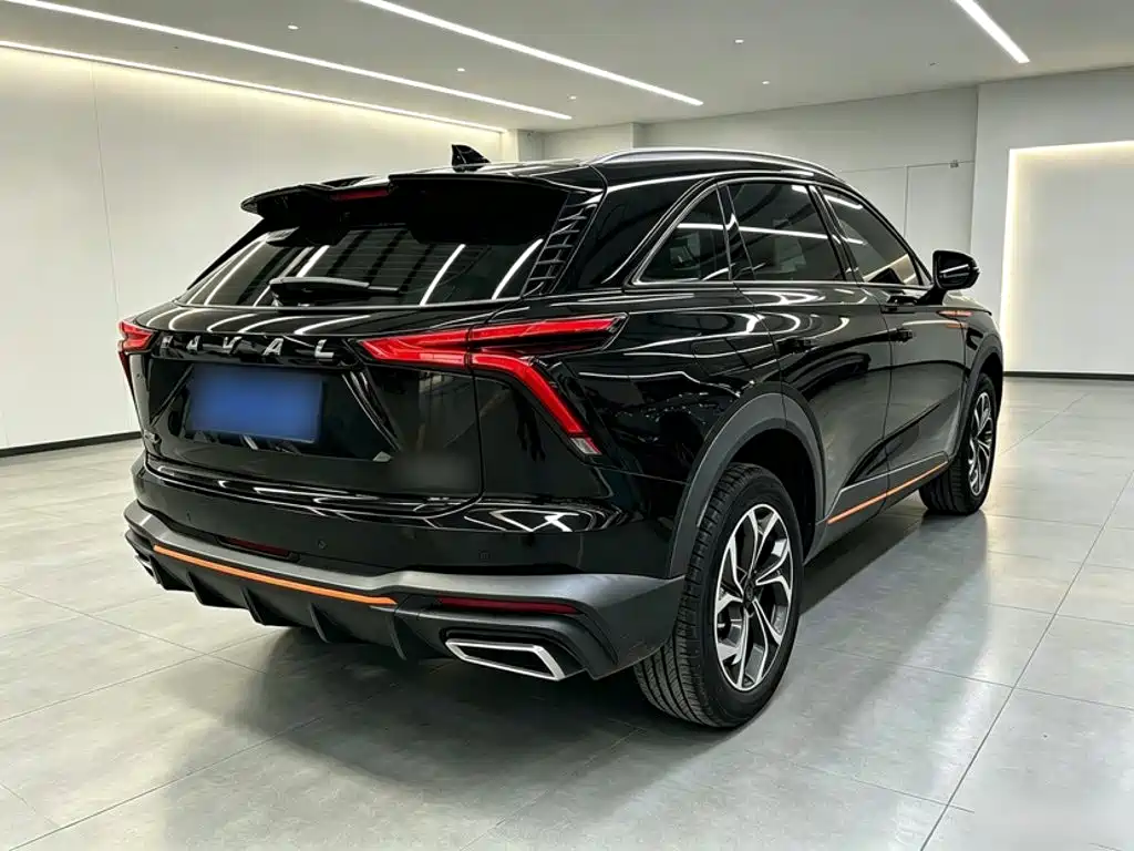 Haval Shenshou — миниатюра 13