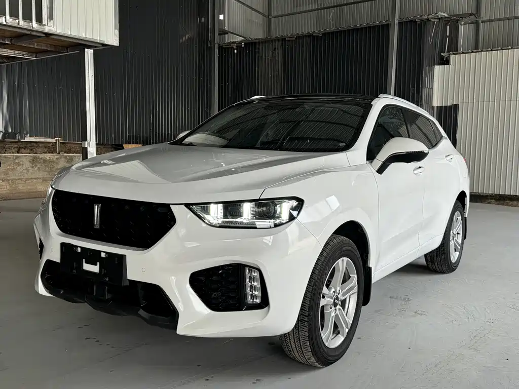 Wey VV5 1.5T 2WD Beauty Pioneer, фото 4