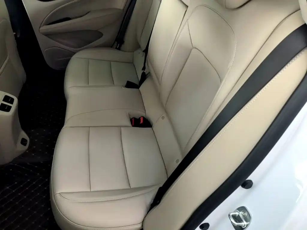 Buick Regal — миниатюра 17