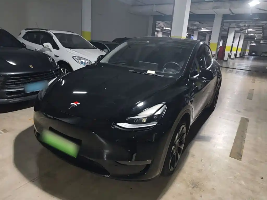 Tesla Model Y — миниатюра 2