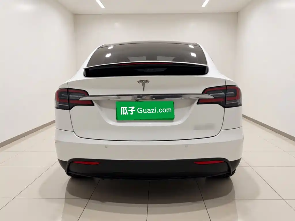 Tesla Model X — миниатюра 5