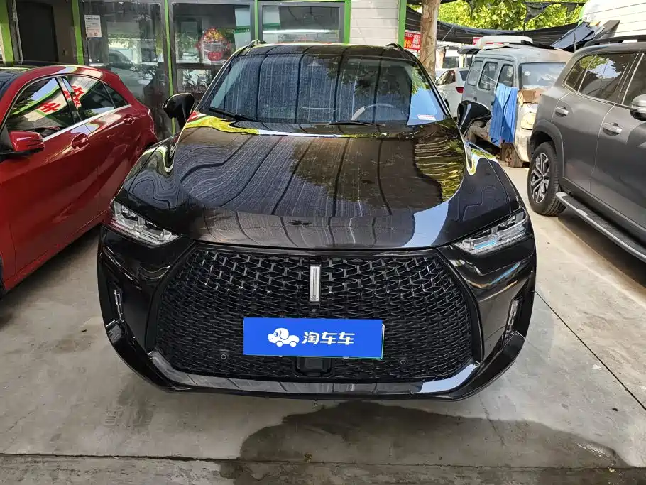 Wey Wey P8 — миниатюра 2