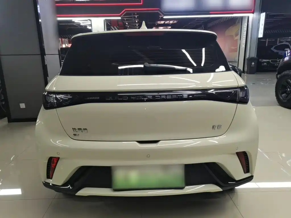 BYD Dolphin — миниатюра 6