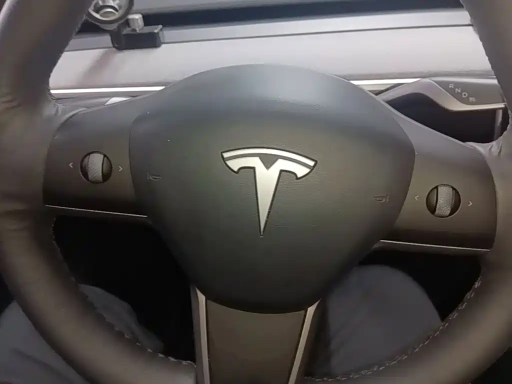 Tesla Model Y — миниатюра 11