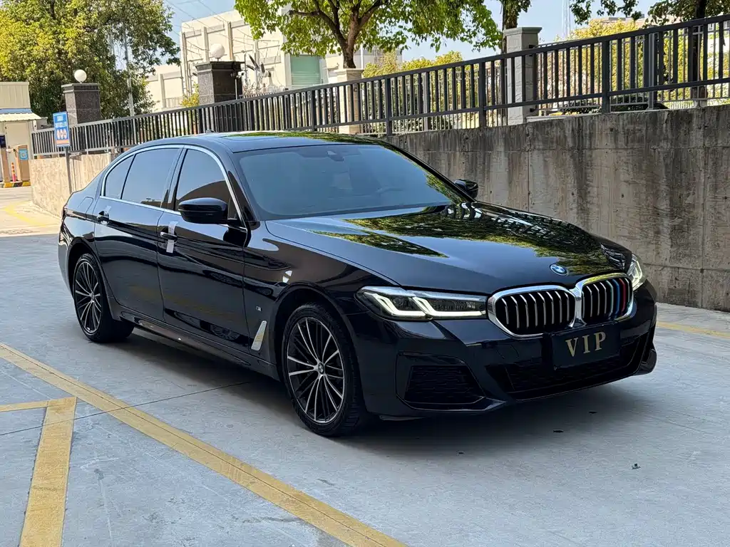BMW 5 Series — миниатюра 3