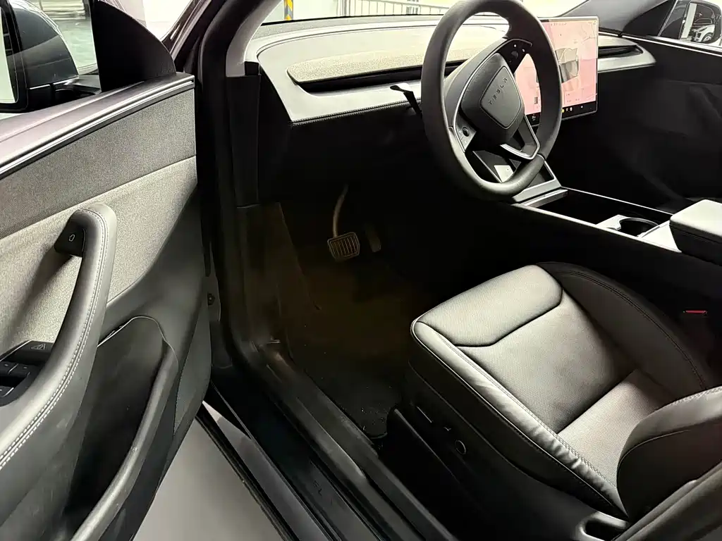 Tesla Model Y — миниатюра 4