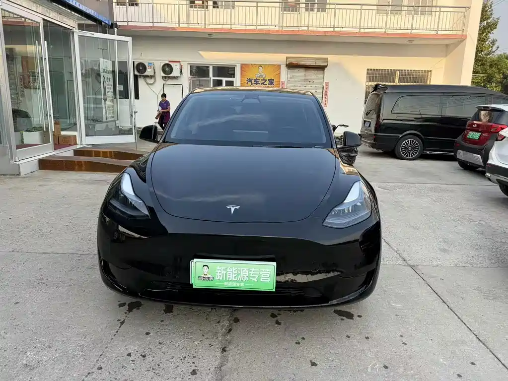 Tesla Model Y — миниатюра 2