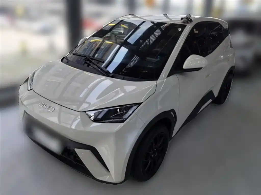 Byd Seagull 2024