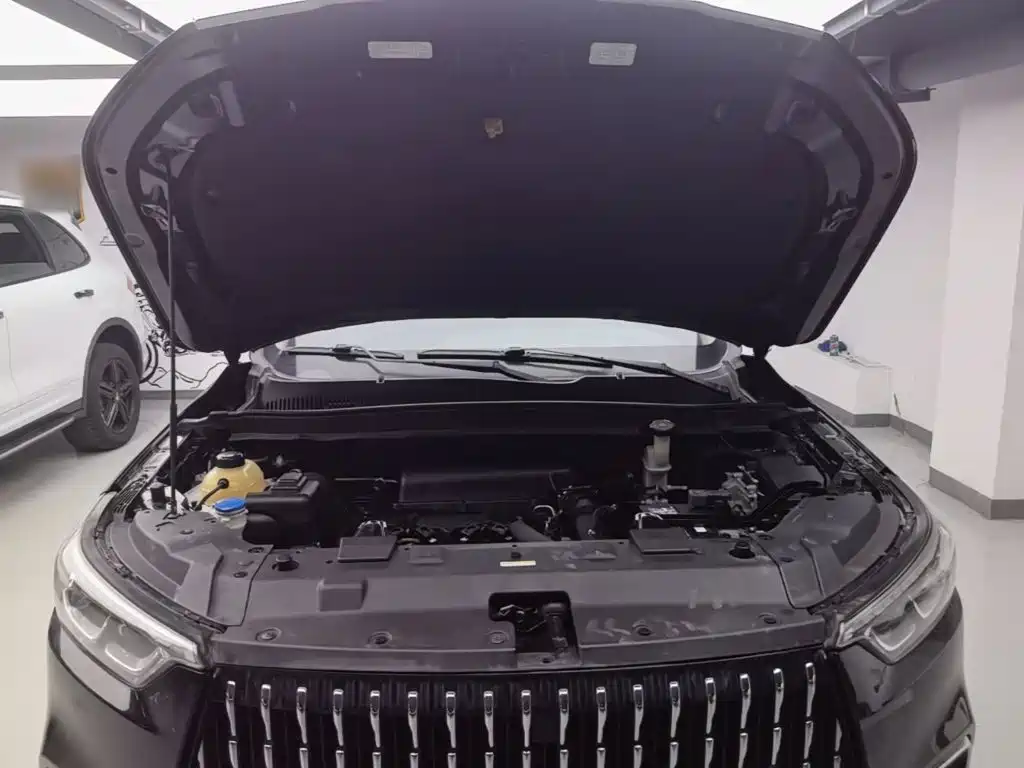 Leopaard Mattu — миниатюра 20