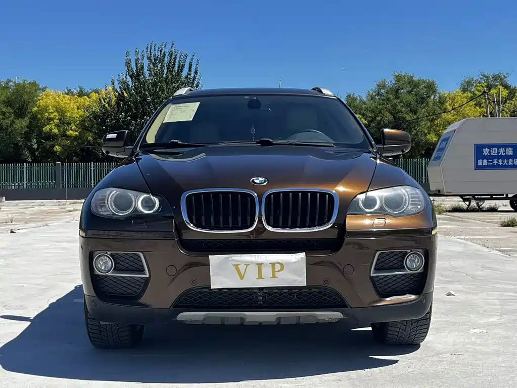 BMW X6 — миниатюра 8