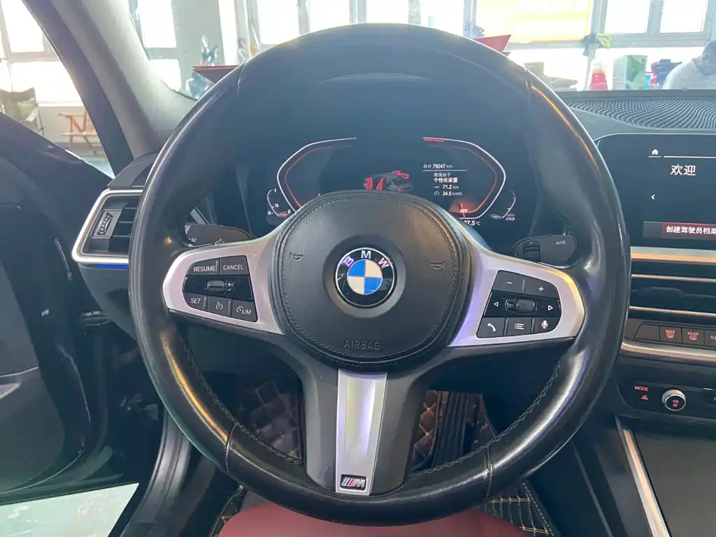 BMW 3 Series — миниатюра 11