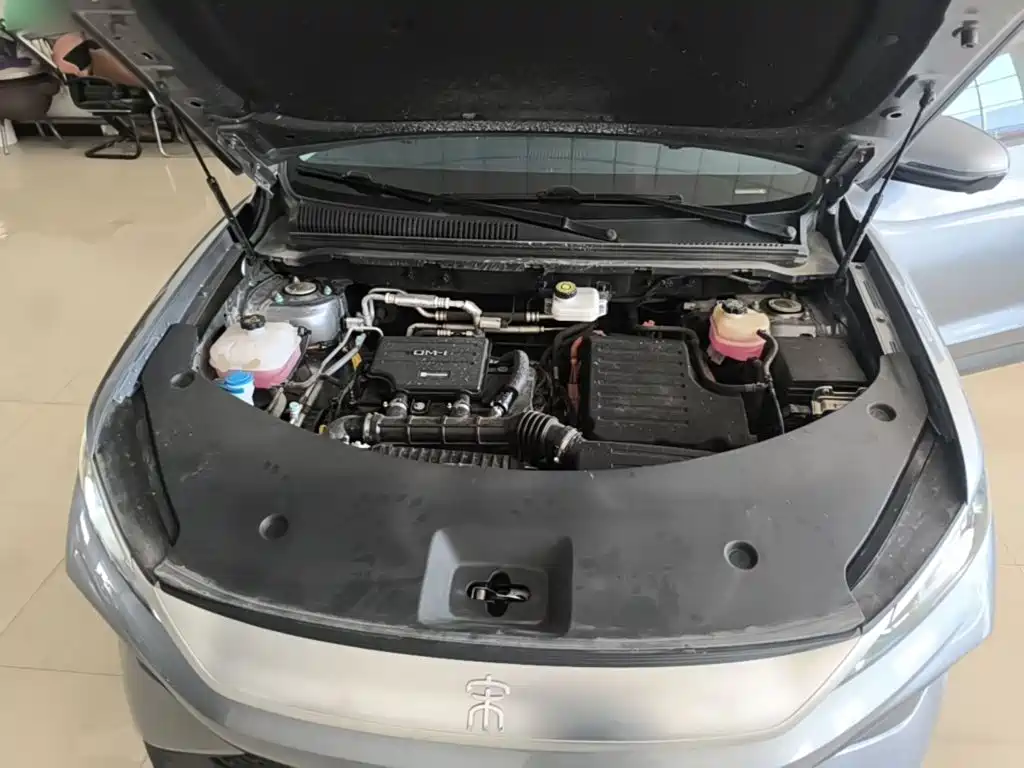 BYD Pro New Energy — миниатюра 20