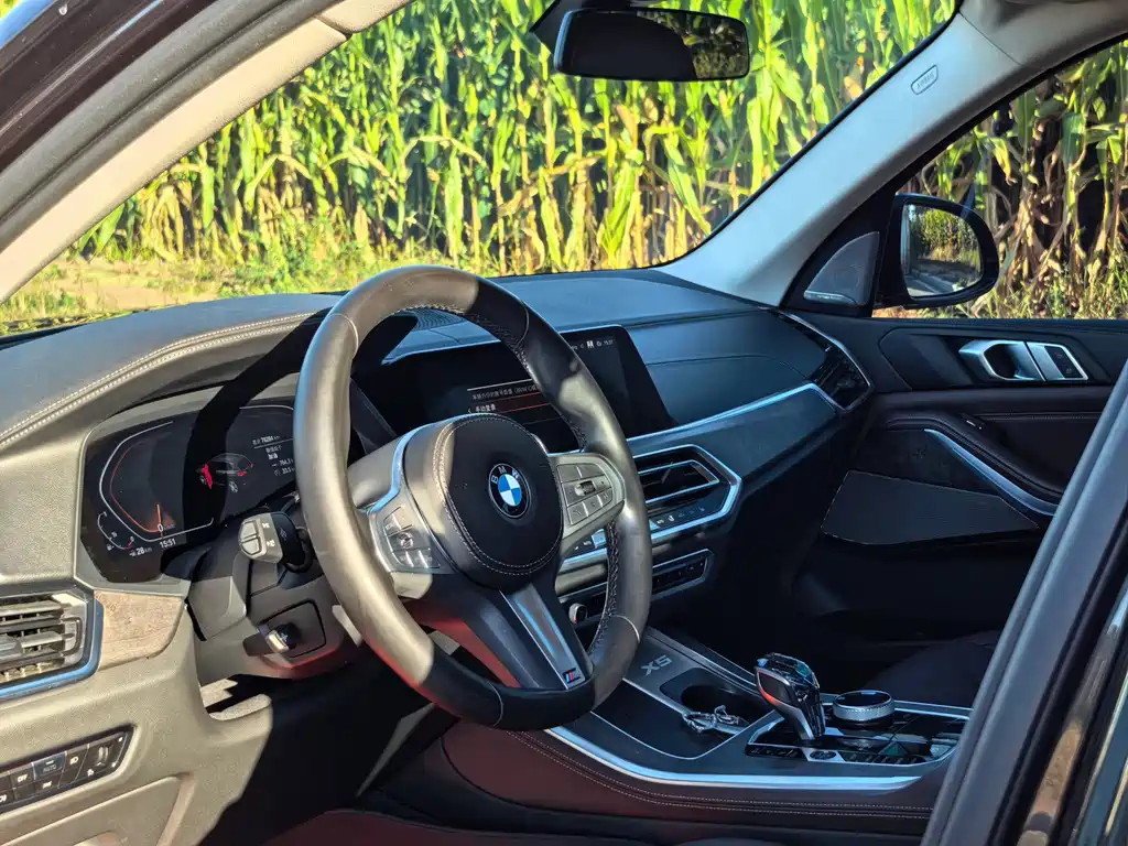 BMW X5 — миниатюра 9