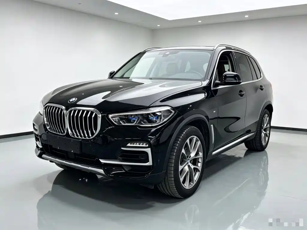 BMW X5 (Import) — миниатюра 2