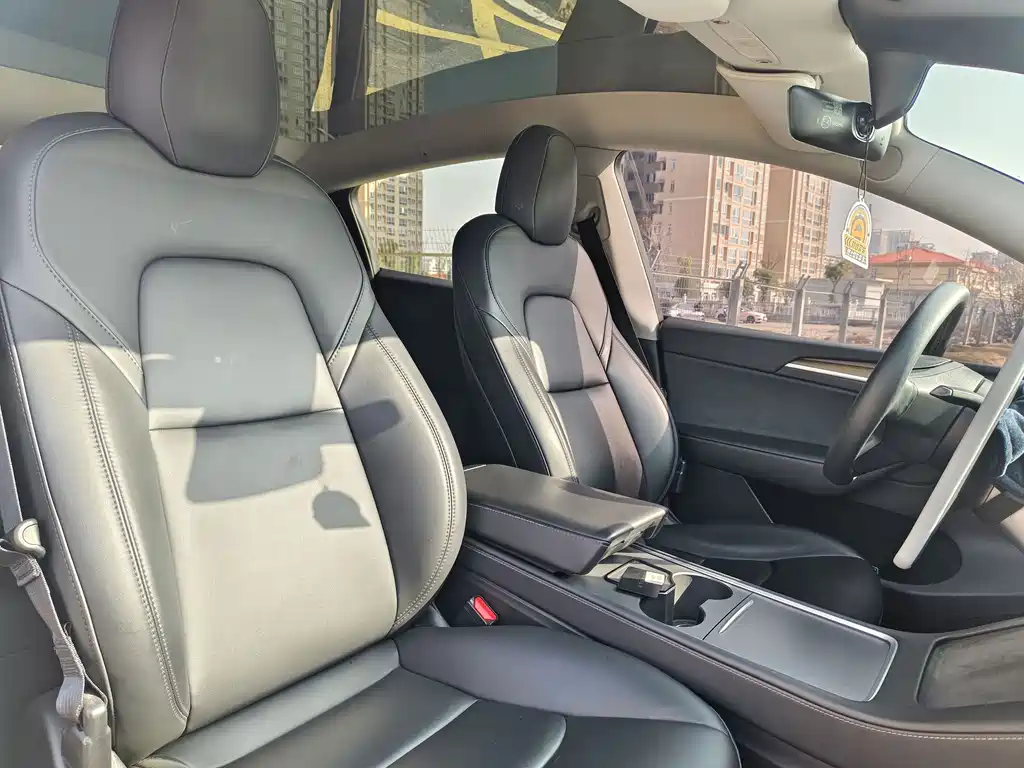 Tesla Model Y — миниатюра 10