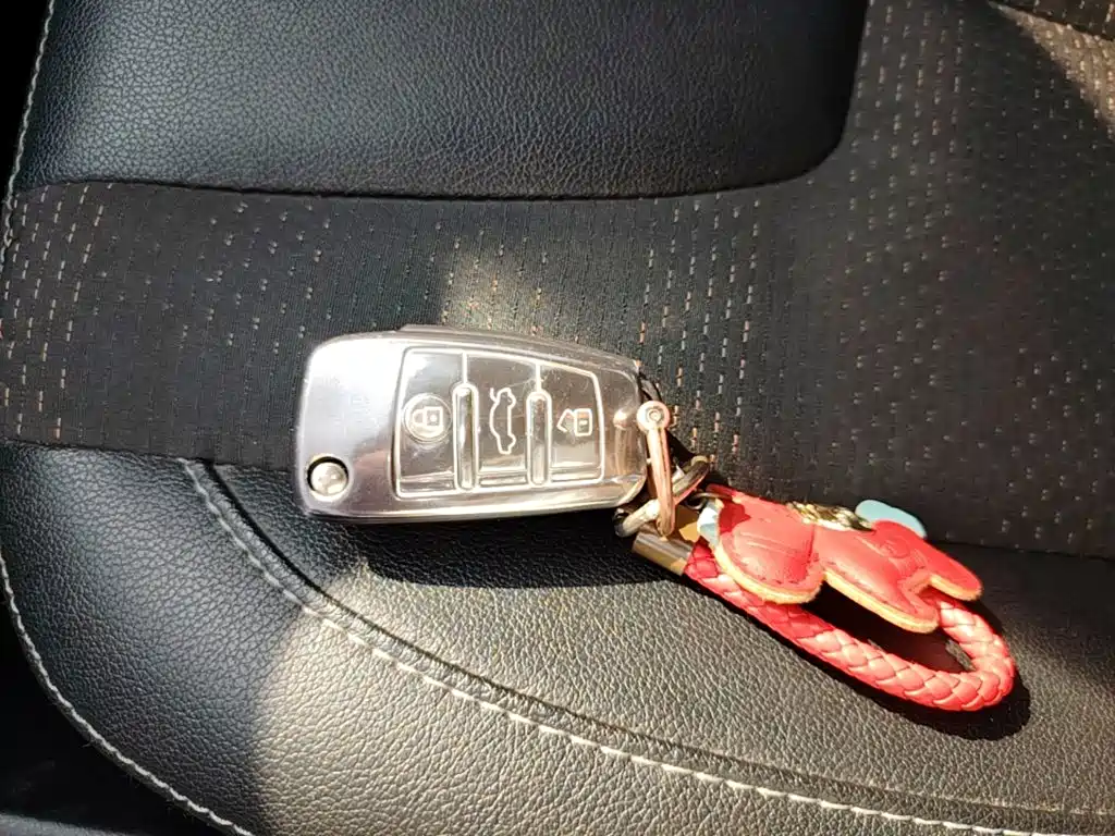 Chery Tiggo 3x — миниатюра 9