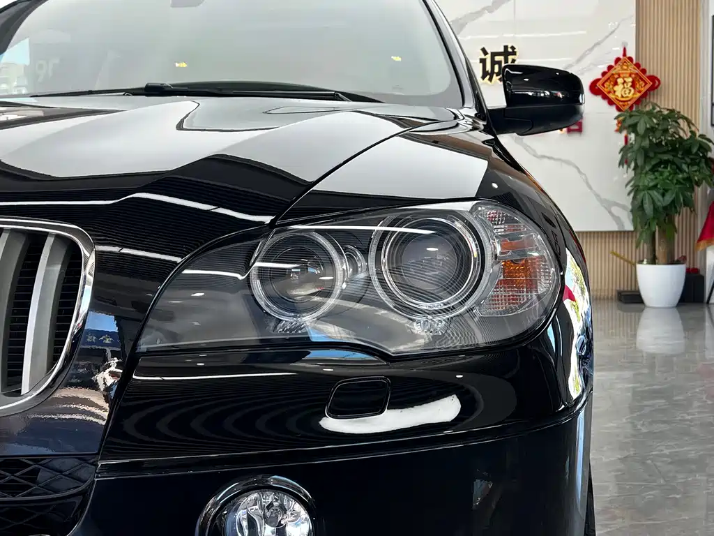 BMW X5 (Import) — миниатюра 9
