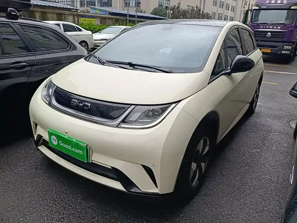 BYD Dolphin — миниатюра 2