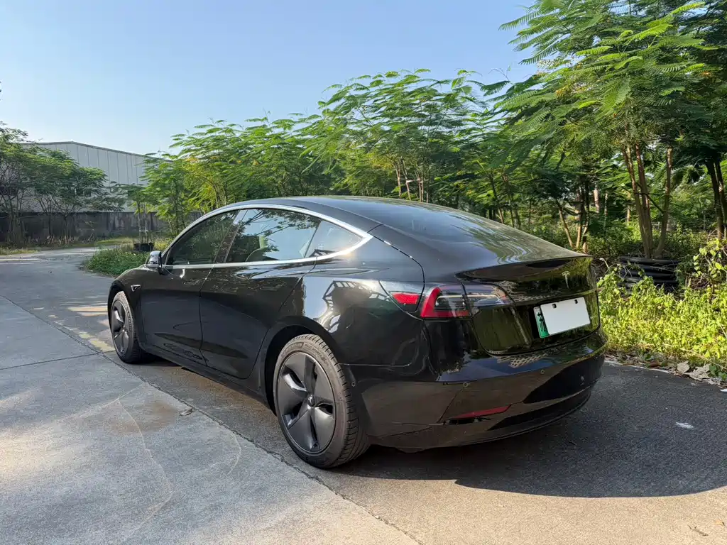 Tesla Model 3 — миниатюра 5