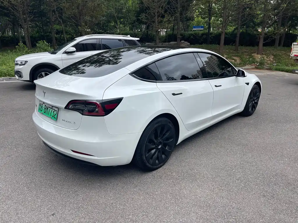 Tesla Model 3 — миниатюра 3