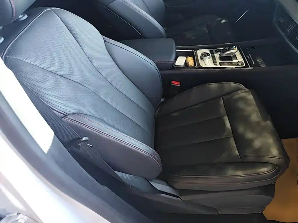 BYD Tang New Energy — миниатюра 25