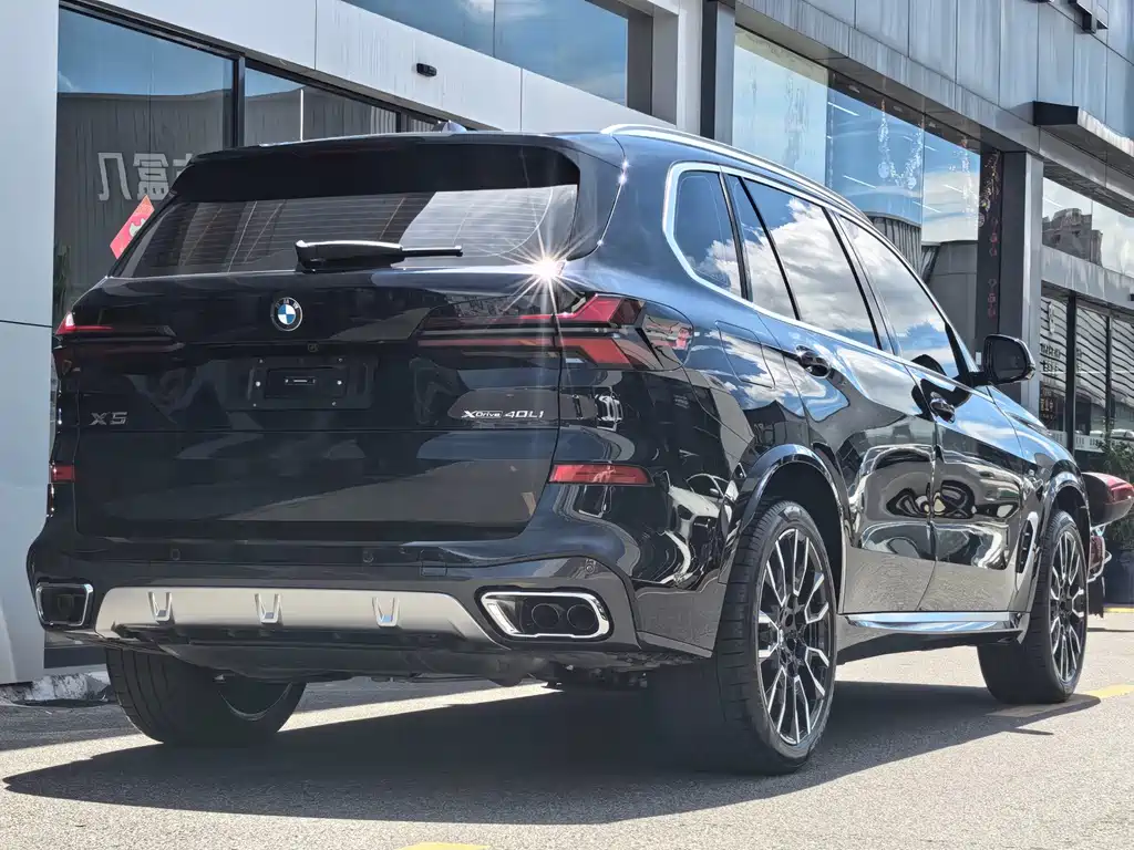 BMW X5 — миниатюра 8