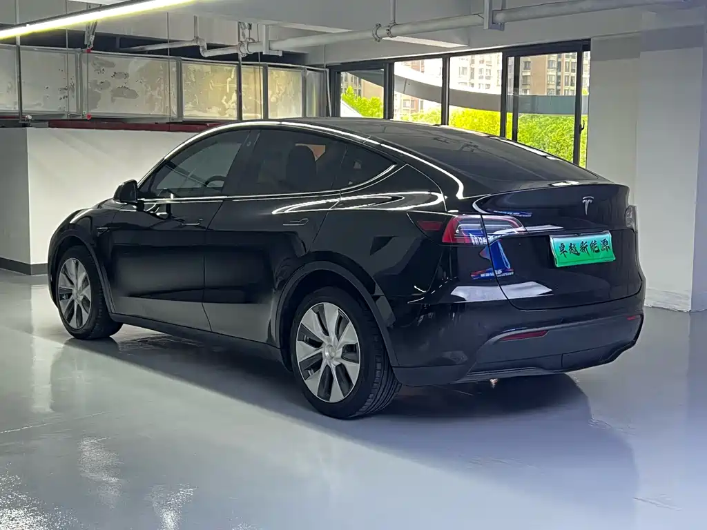 Tesla Model Y — миниатюра 11