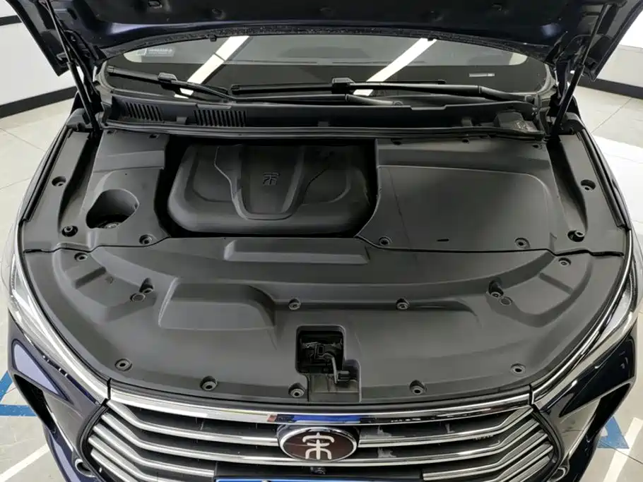 BYD MAX — миниатюра 10