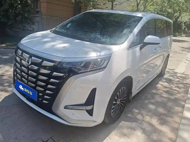 Denza D 9 2022 DM-i 1040 Premium — фото 1