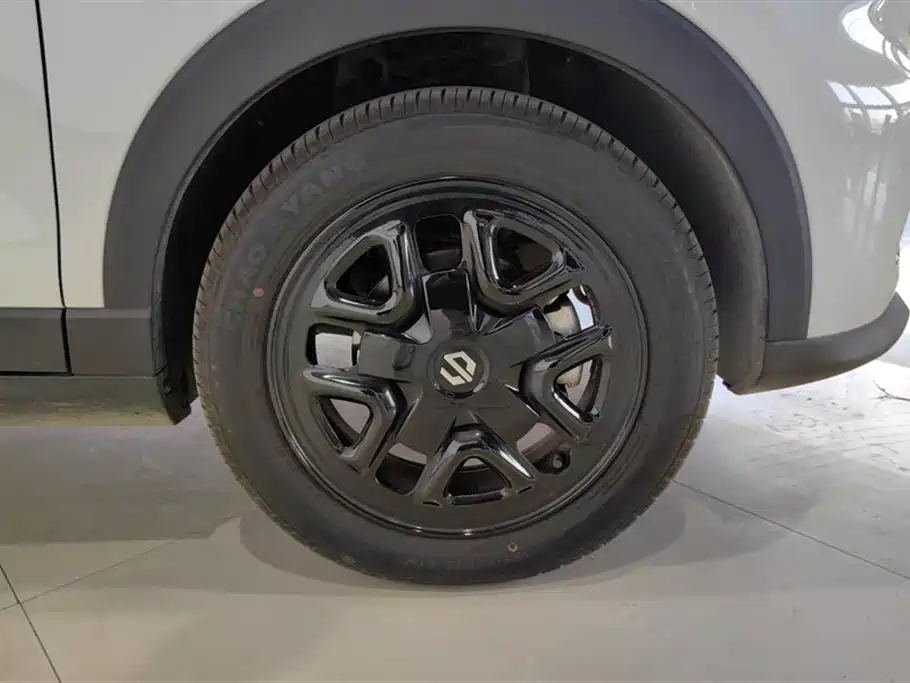Leapmotor T03 2025 310
