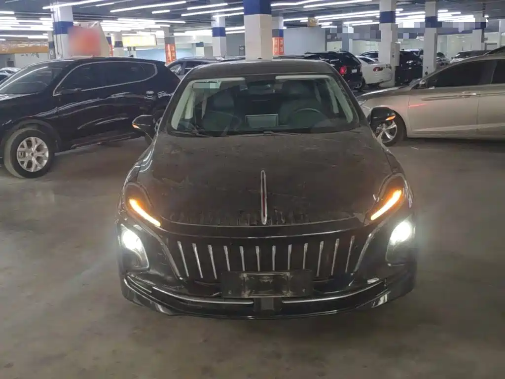 Hongqi Hongqi E-QM5 — миниатюра 3