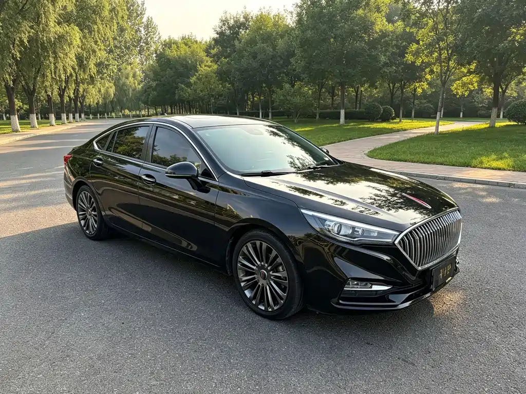 Hongqi Hongqi H5 — миниатюра 3
