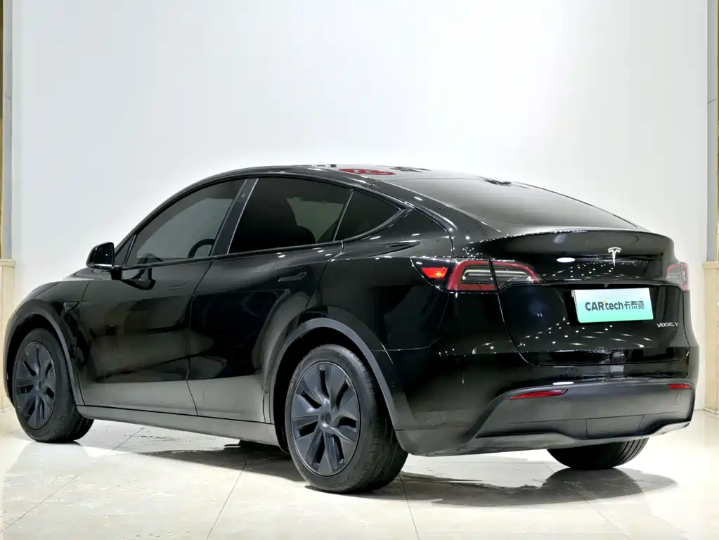 Tesla Model Y — миниатюра 25