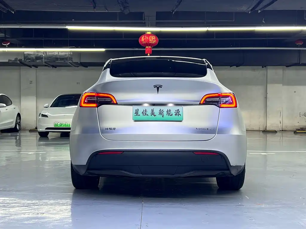 Tesla Model Y — миниатюра 10