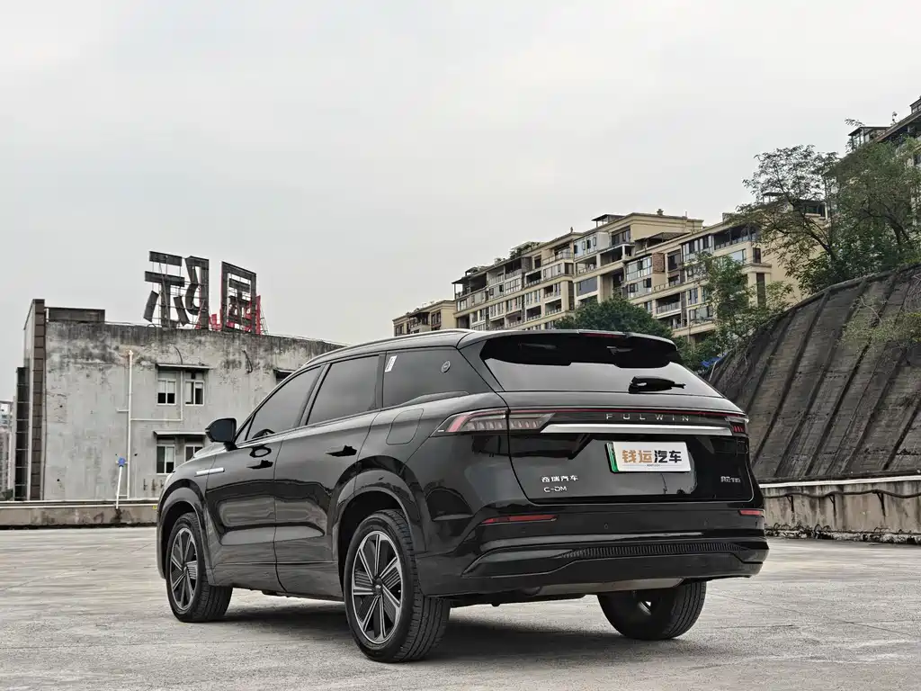 Fulwin Fengyun T10 — миниатюра 5