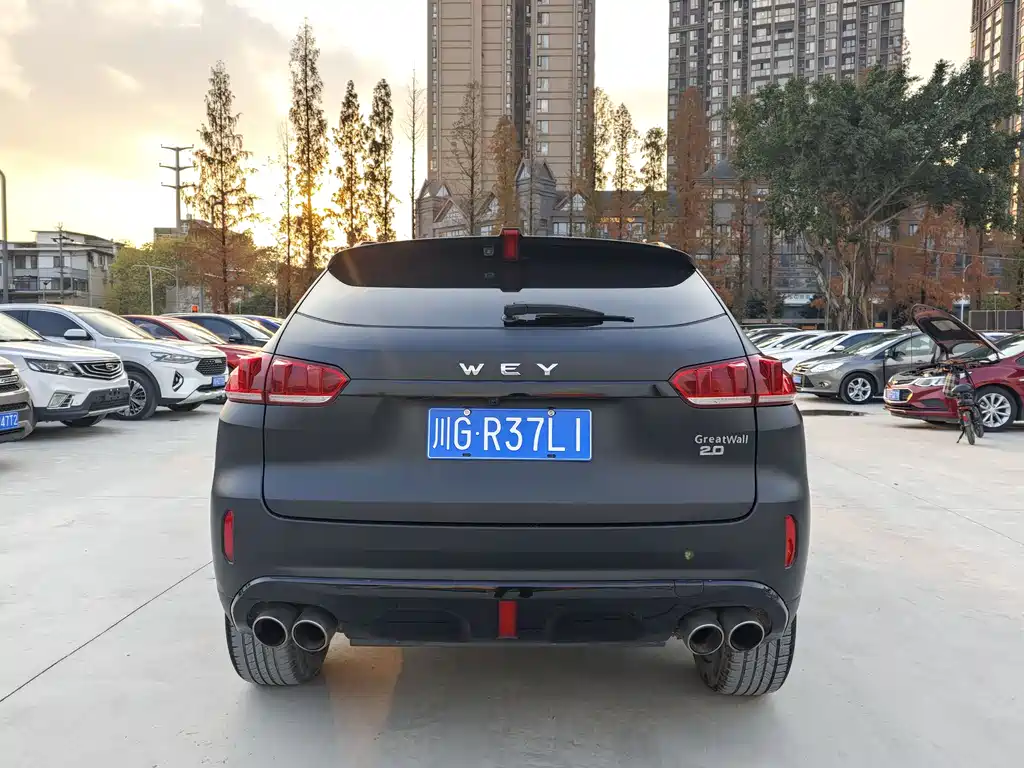 WEI PAI WEI BRAND VV5