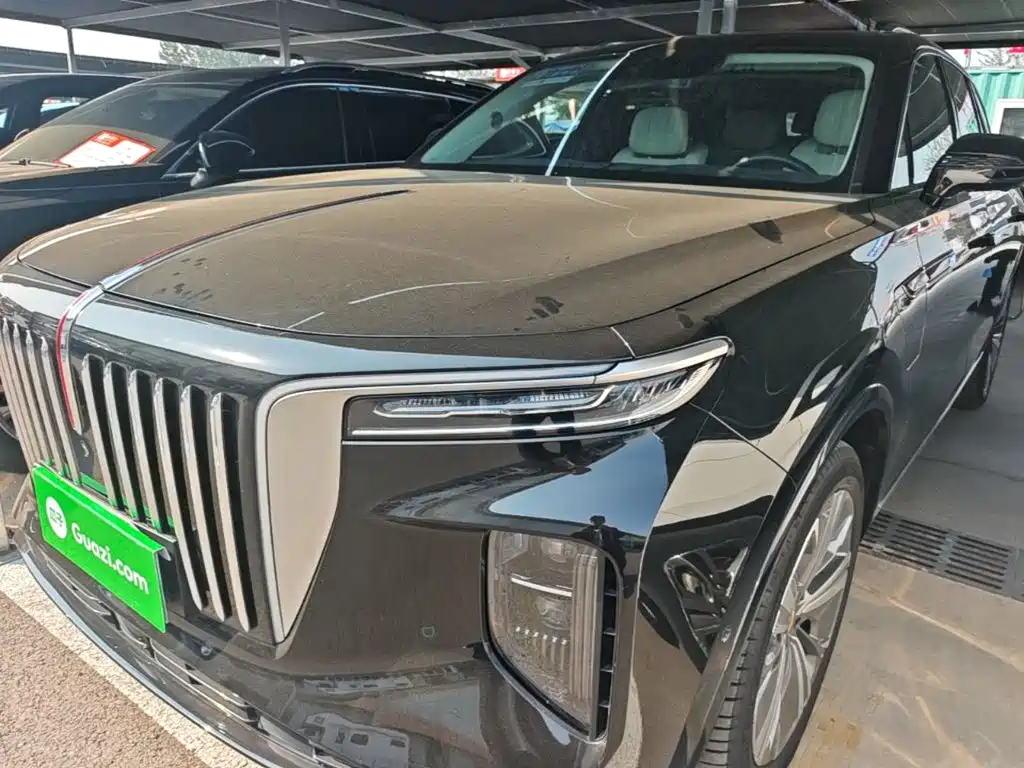 Hongqi Hongqi E-HS9 — миниатюра 24