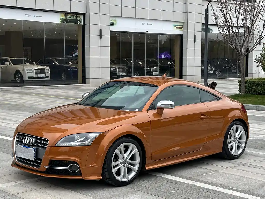 Audi TTS 2015